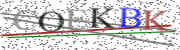 Security code to type in